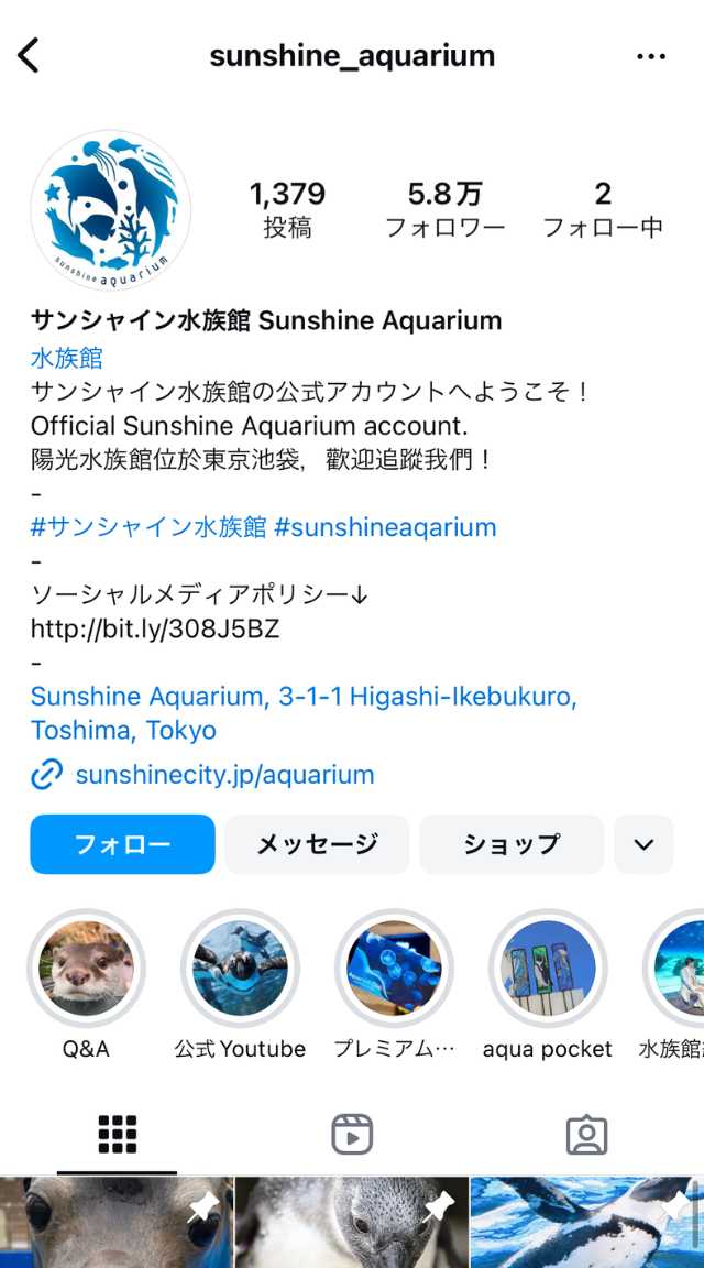 サンシャイン水族館Instagramアカウント